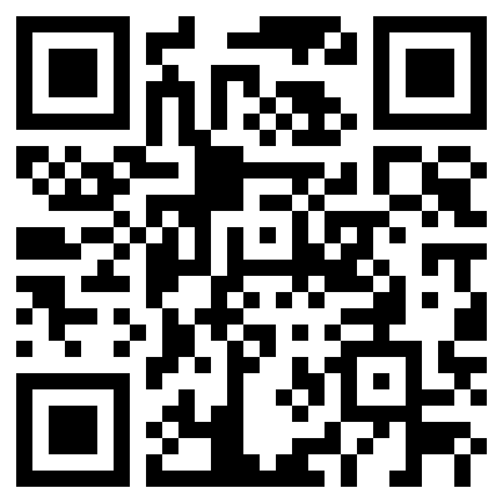 QR Codes: An Introspection